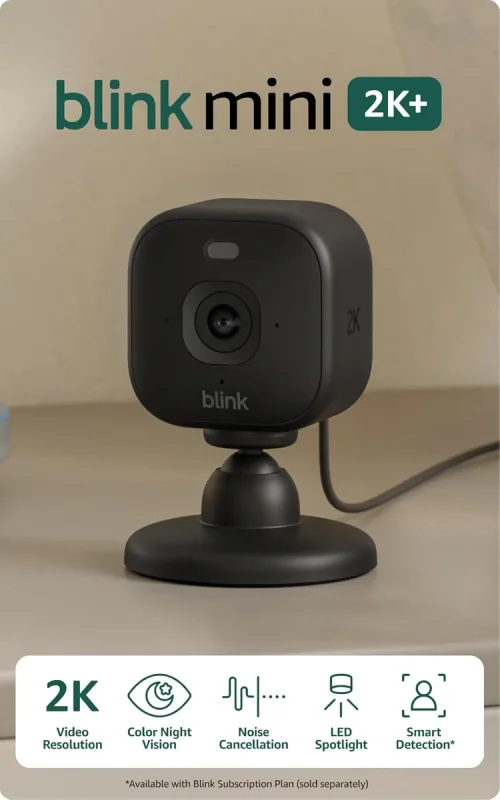 Mini 2K+
