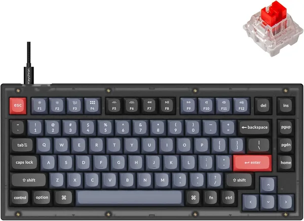 V1