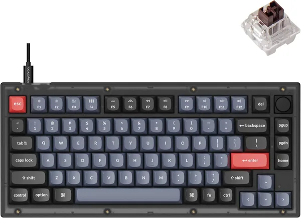 V1