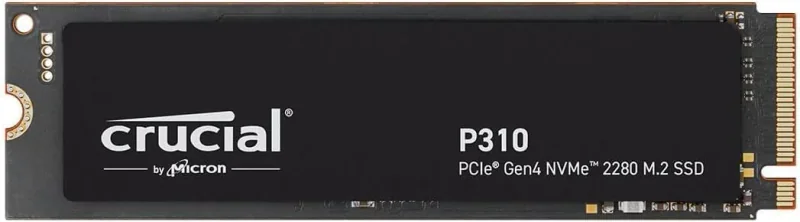 P310 1TB