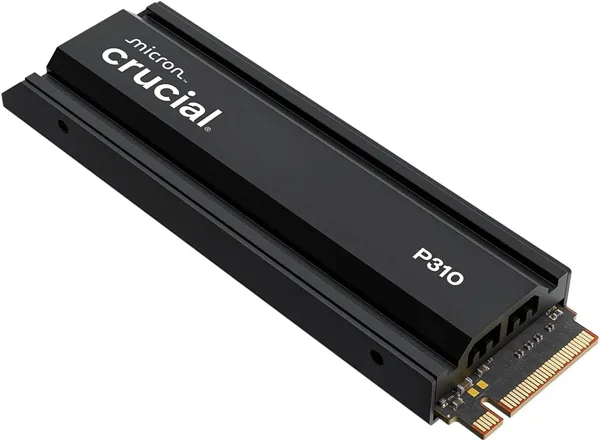 P310 1TB