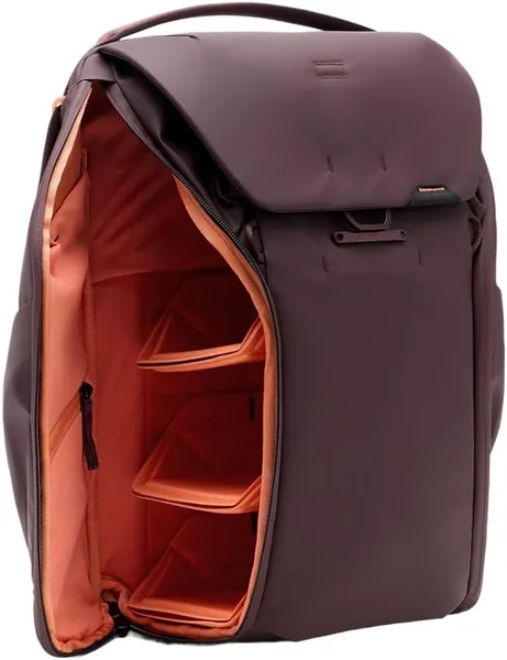 Everyday Backpack 20L