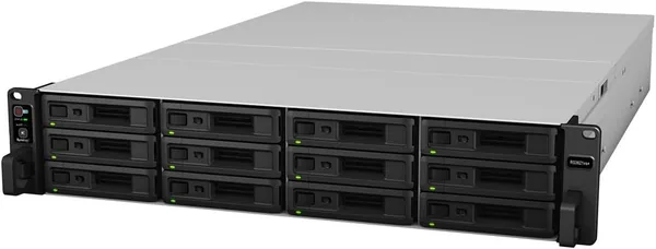 RS3621xs+