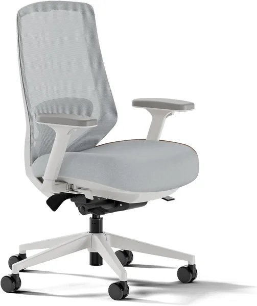 Ergonomic Chair Pro