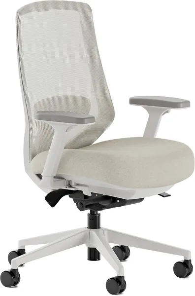 Ergonomic Chair Pro