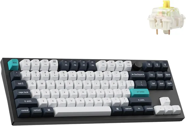 Q6 Max