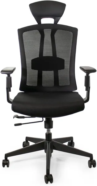 Ergo Plus