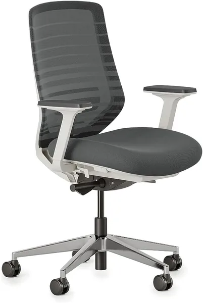 Ergonomic Chair
