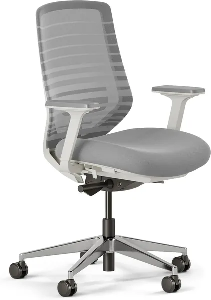 Ergonomic Chair