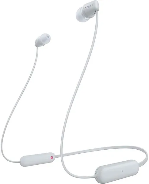 WI-C100