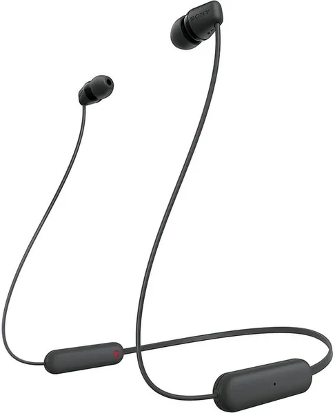 WI-C100