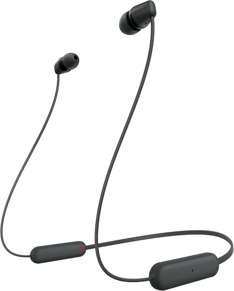 WI-C100