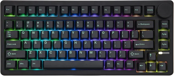 QK81