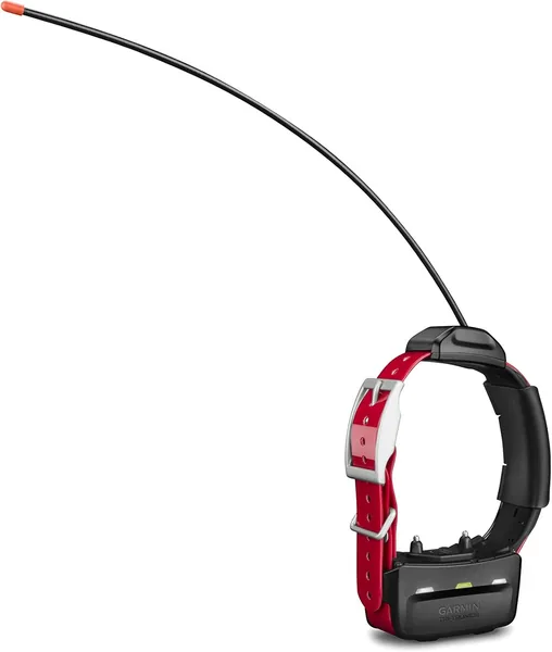 TT 15 Collar