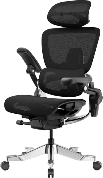 H2 Pro