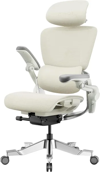 H2 Pro