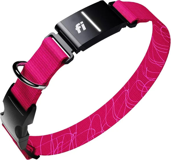 Series 3+ GPS + Health Dog Collar